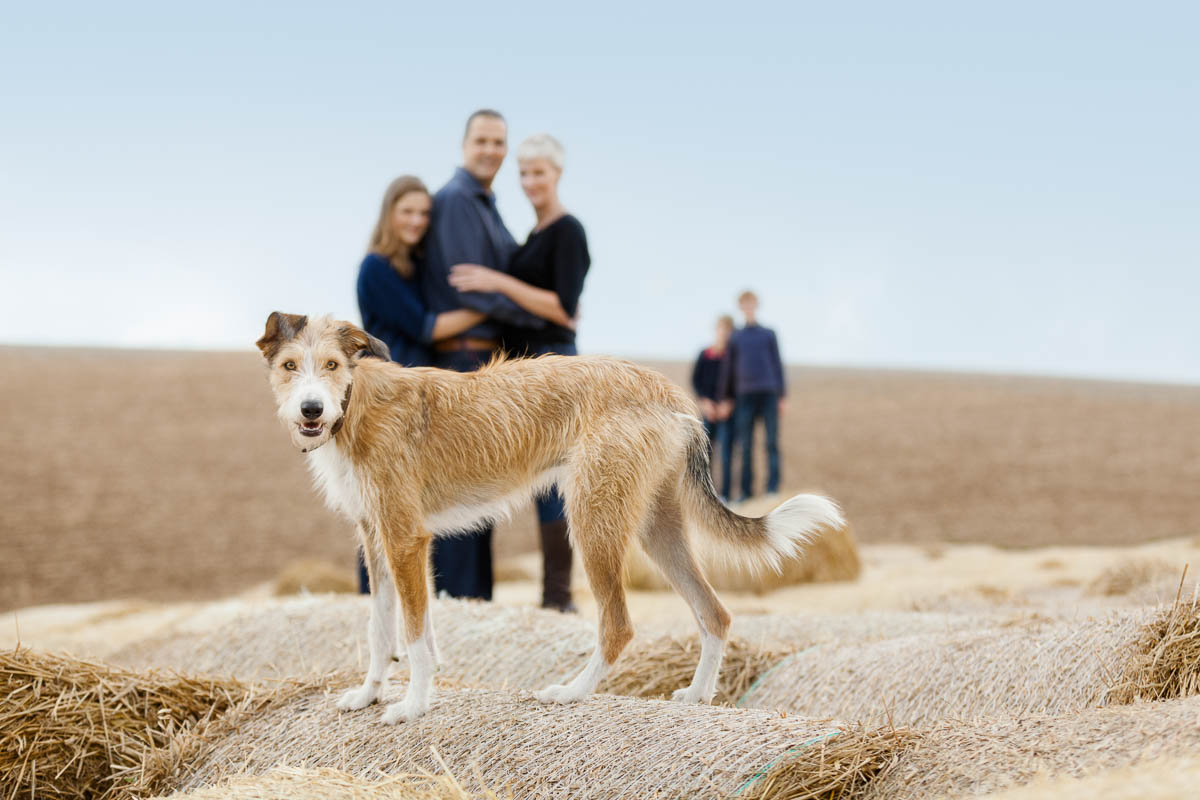 Family Photography London location photoshoot of family on haybales.
